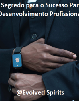 O segredo para o sucesso parte 3: Desenvolvimento profissional – R$ 20,00